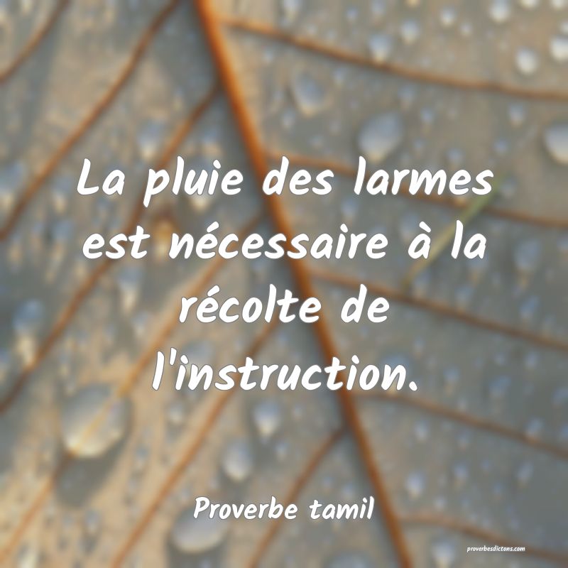 La pluie des larmes est nécessaire à la récolte de l'instruction.