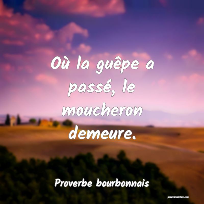 Où la guêpe a passé, le moucheron demeure.