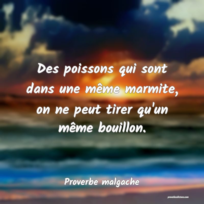 Des poissons qui sont dans une même marmite, on ne peut tirer qu'un même bouillon.