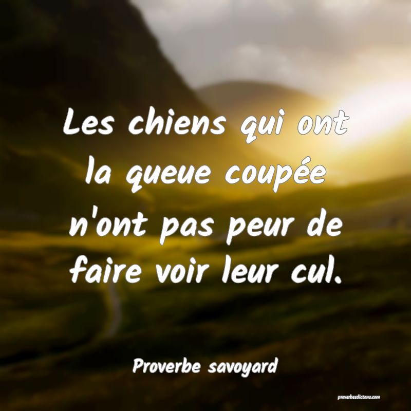 Les chiens qui ont la queue coupée n'ont pas peur de faire voir leur cul.