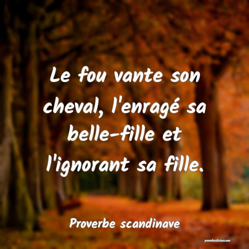 Le fou vante son cheval, l'enragé sa belle-fille et l'ignorant sa fille.