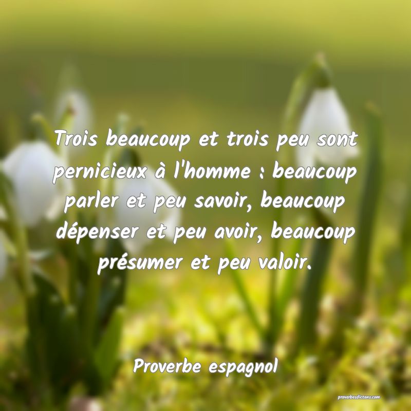 Trois beaucoup et trois peu sont pernicieux à l'homme : beaucoup parler et peu savoir, beaucoup dépenser et peu avoir, beaucoup présumer et peu valoir.