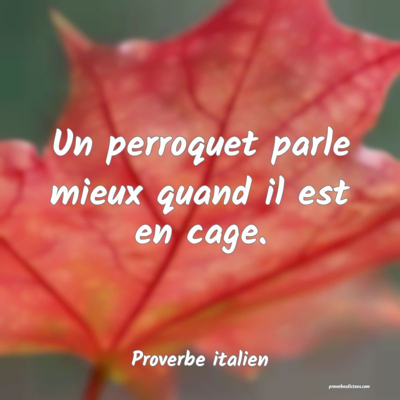 Un perroquet parle mieux quand il est en cage.