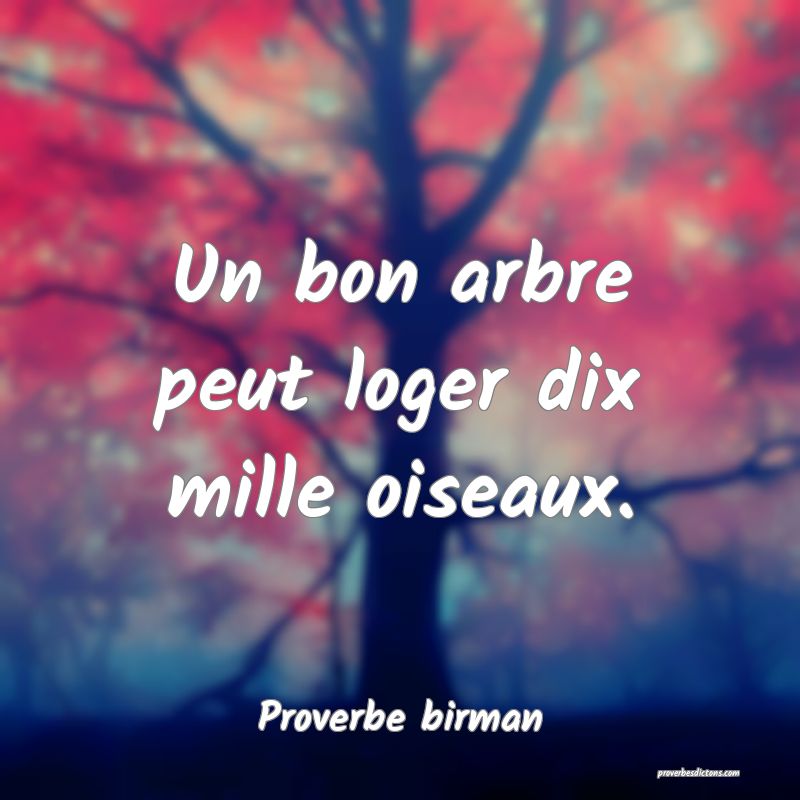 Un bon arbre peut loger dix mille oiseaux.