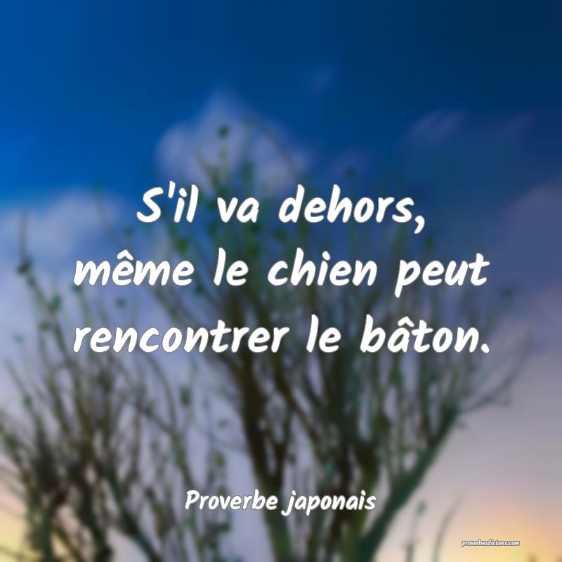 S'il va dehors, même le chien peut rencontrer le bâton.