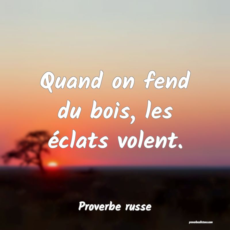 Quand on fend du bois, les éclats volent.