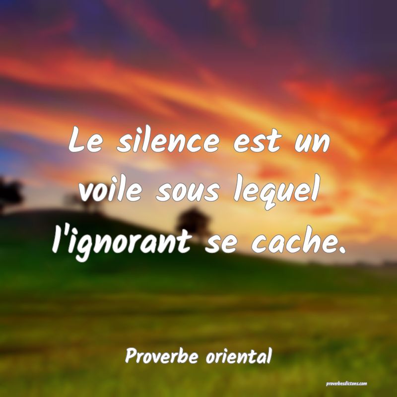 Le silence est un voile sous lequel l'ignorant se cache.