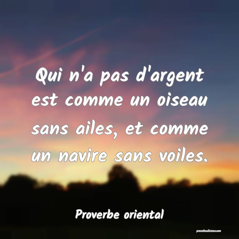 Qui n'a pas d'argent est comme un oiseau sans ailes, et comme un navire sans voiles.