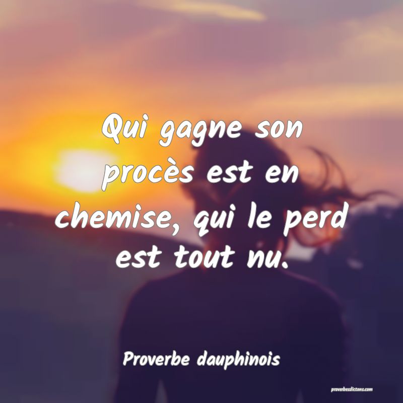 Qui gagne son procès est en chemise, qui le perd est tout nu.