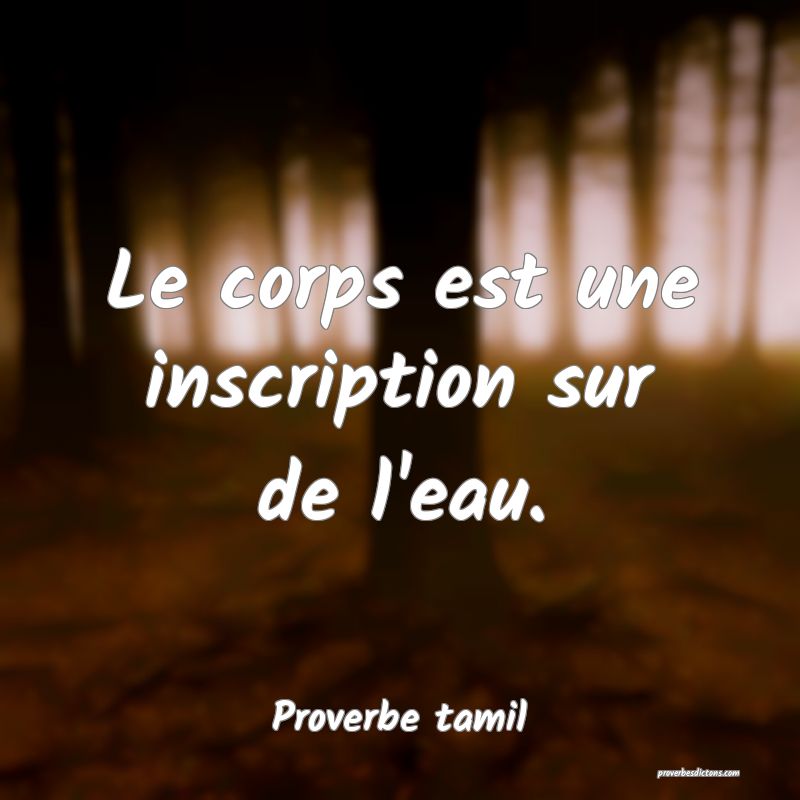 Le corps est une inscription sur de l'eau.