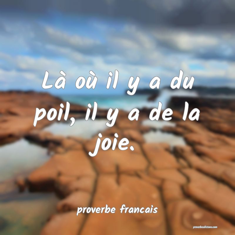 Là où il y a du poil, il y a de la joie.