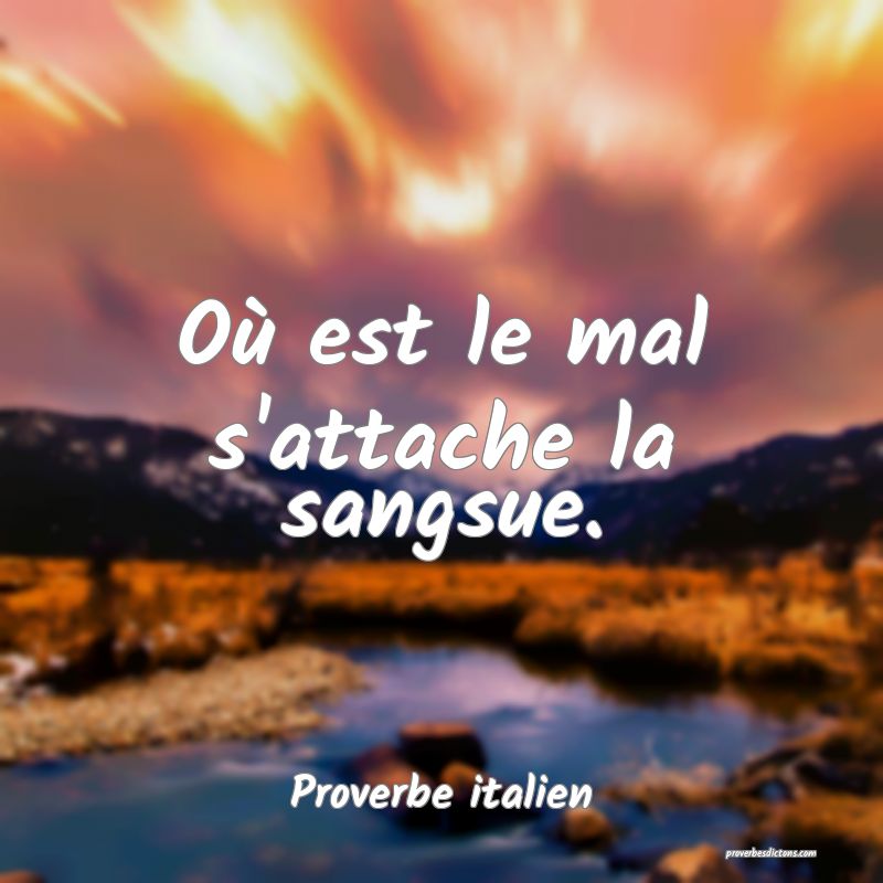 Où est le mal s'attache la sangsue.