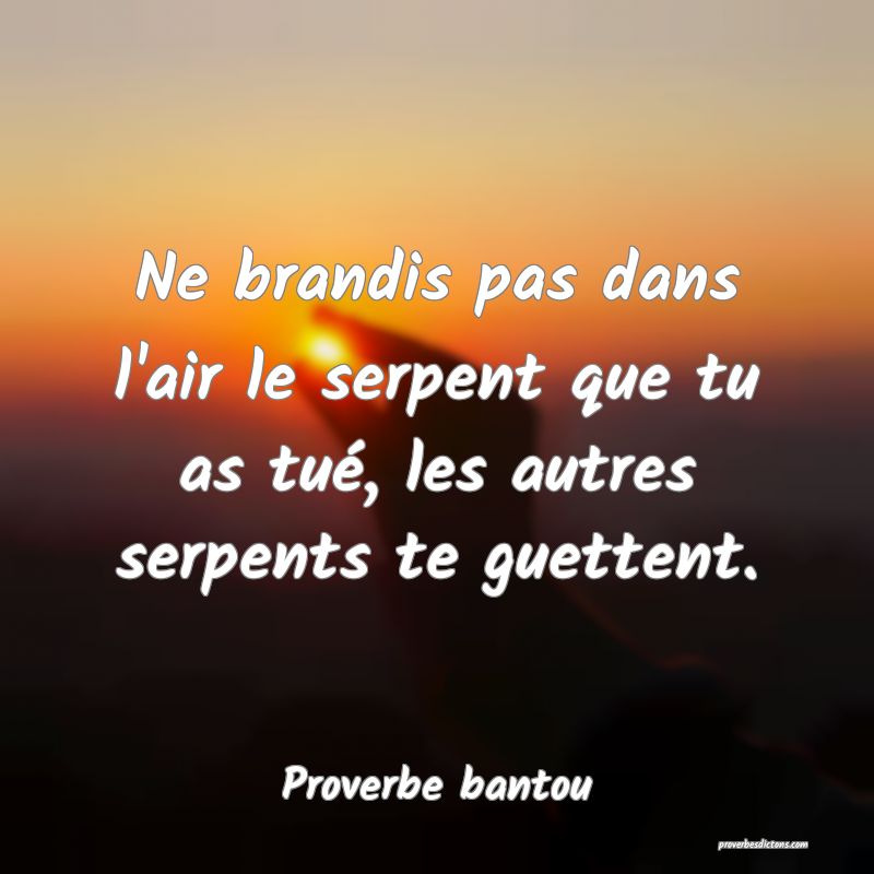 Ne brandis pas dans l'air le serpent que tu as tué, les autres serpents te guettent.