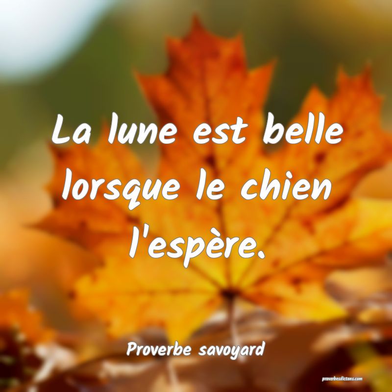 La lune est belle lorsque le chien l'espère.
