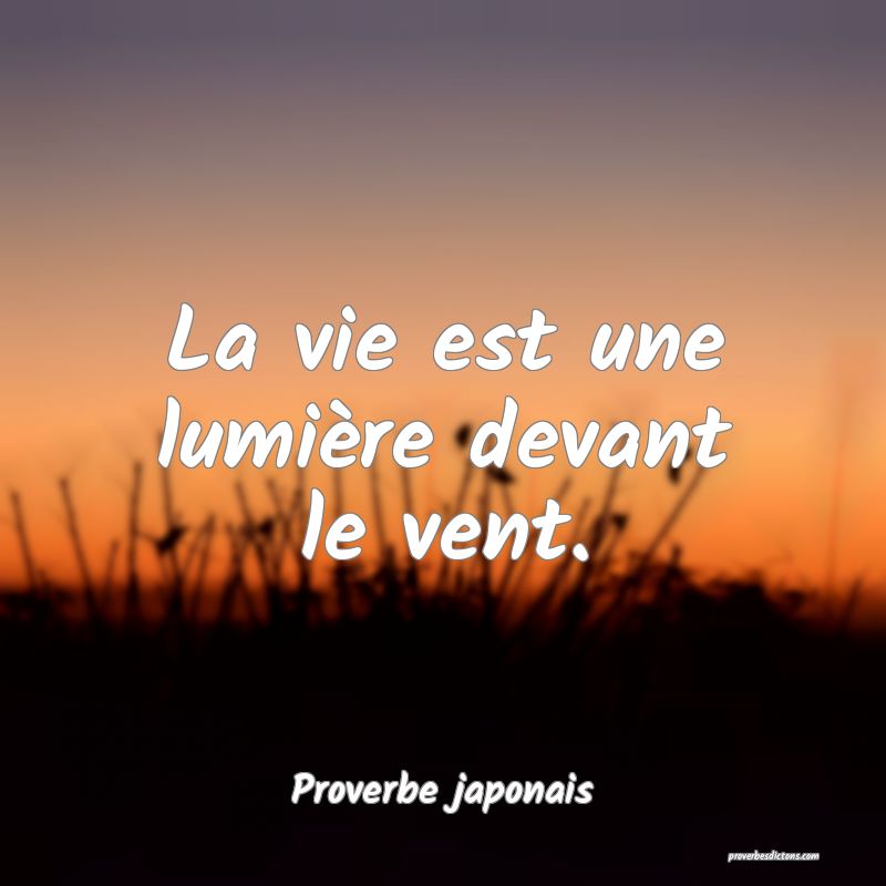 La vie est une lumière devant le vent.