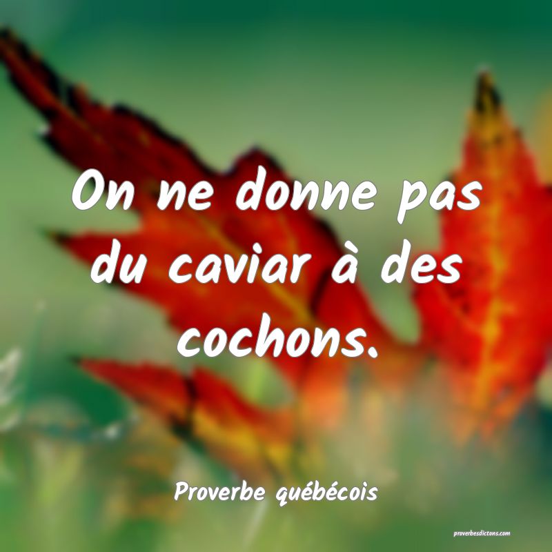 On ne donne pas du caviar à des cochons.