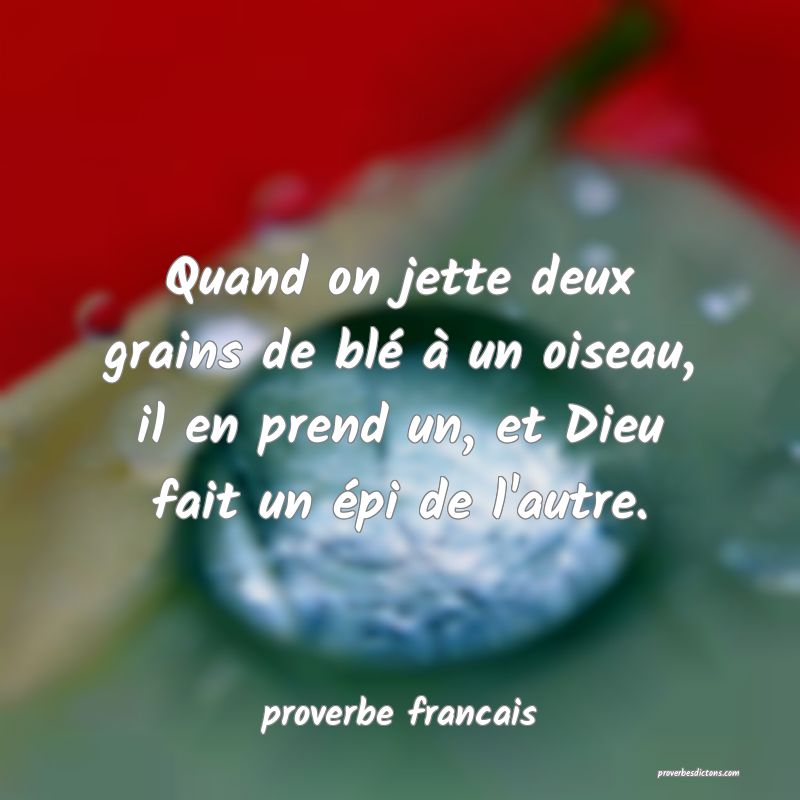 Quand on jette deux grains de blé à un oiseau, il en prend un, et Dieu fait un épi de l'autre.