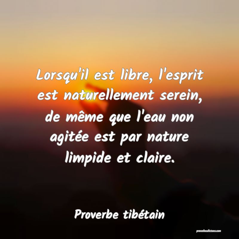 Lorsqu'il est libre, l'esprit est naturellement serein, de même que l'eau non agitée est par nature limpide et claire.