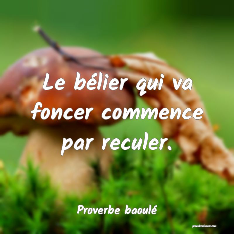 Le bélier qui va foncer commence par reculer.
