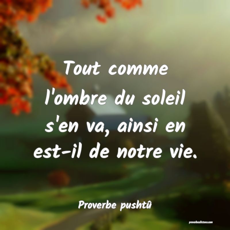 Tout comme l'ombre du soleil s'en va, ainsi en est-il de notre vie.