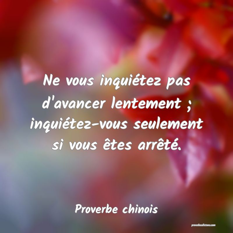 Ne vous inquiétez pas d'avancer lentement ; inquiétez-vous seulement si vous êtes arrêté.