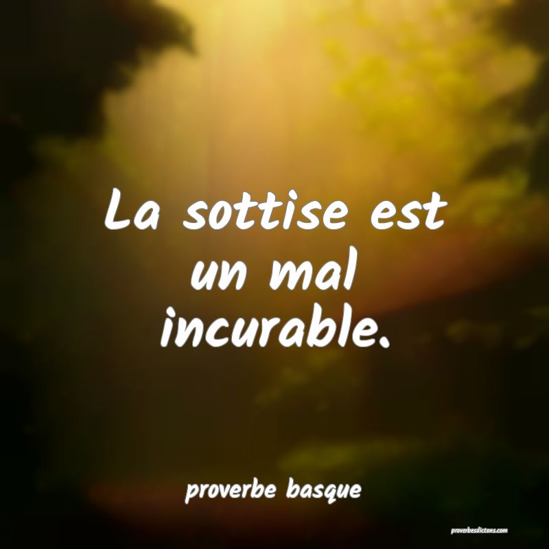  La sottise est un mal incurable.