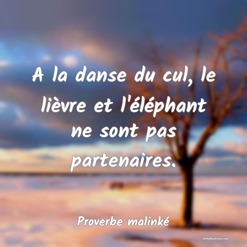 A la danse du cul, le lièvre et l'éléphant ne sont pas partenaires.