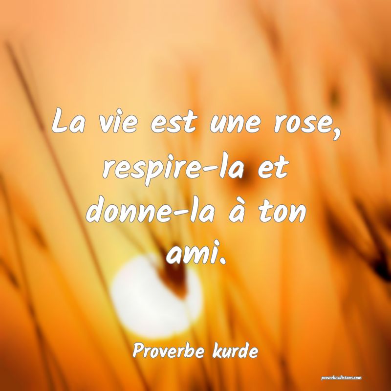 La vie est une rose, respire-la et donne-la à ton ami.