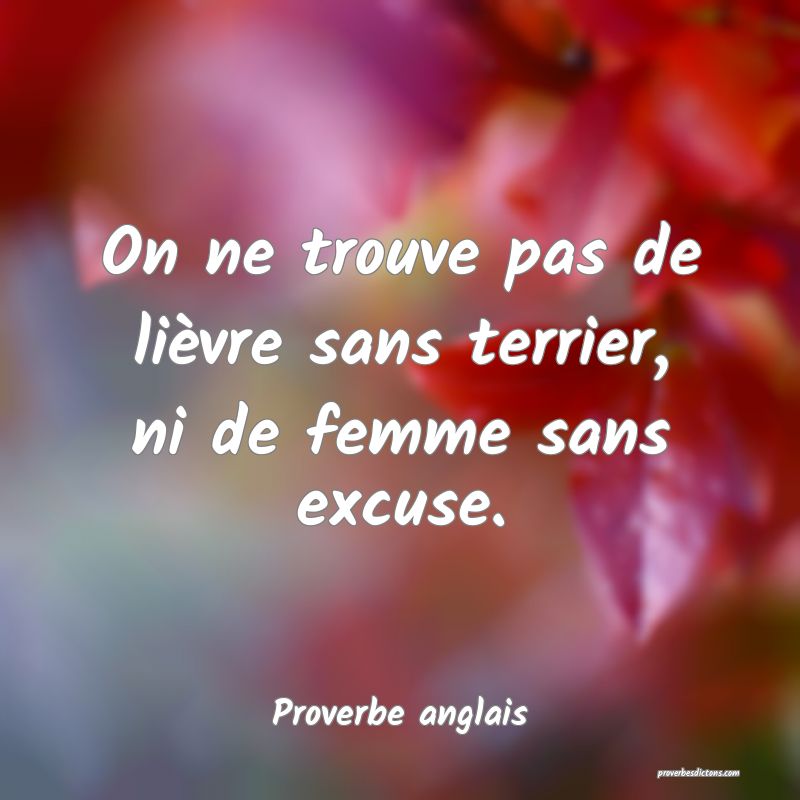 On ne trouve pas de lièvre sans terrier, ni de femme sans excuse.