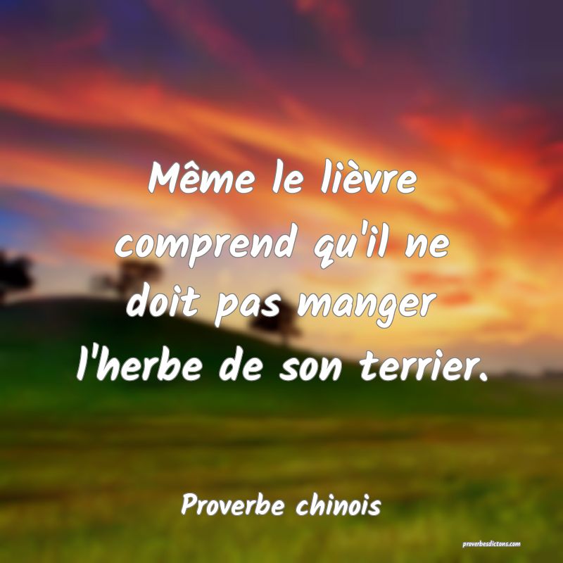 Même le lièvre comprend qu'il ne doit pas manger l'herbe de son terrier.