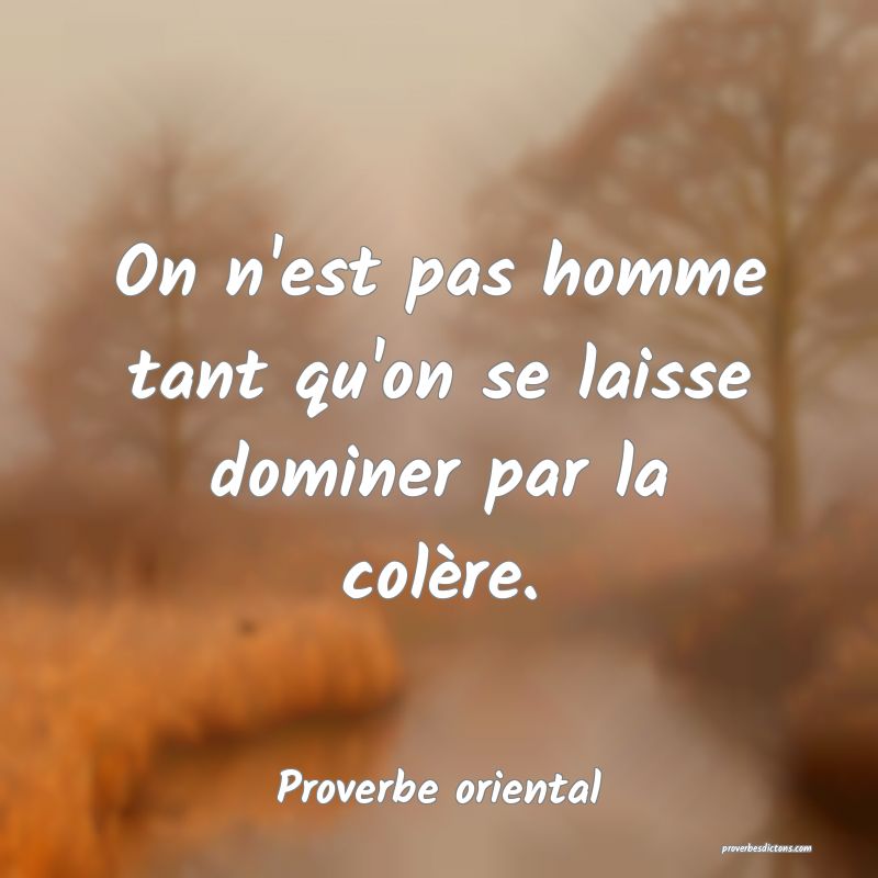 On n'est pas homme tant qu'on se laisse dominer par la colère.