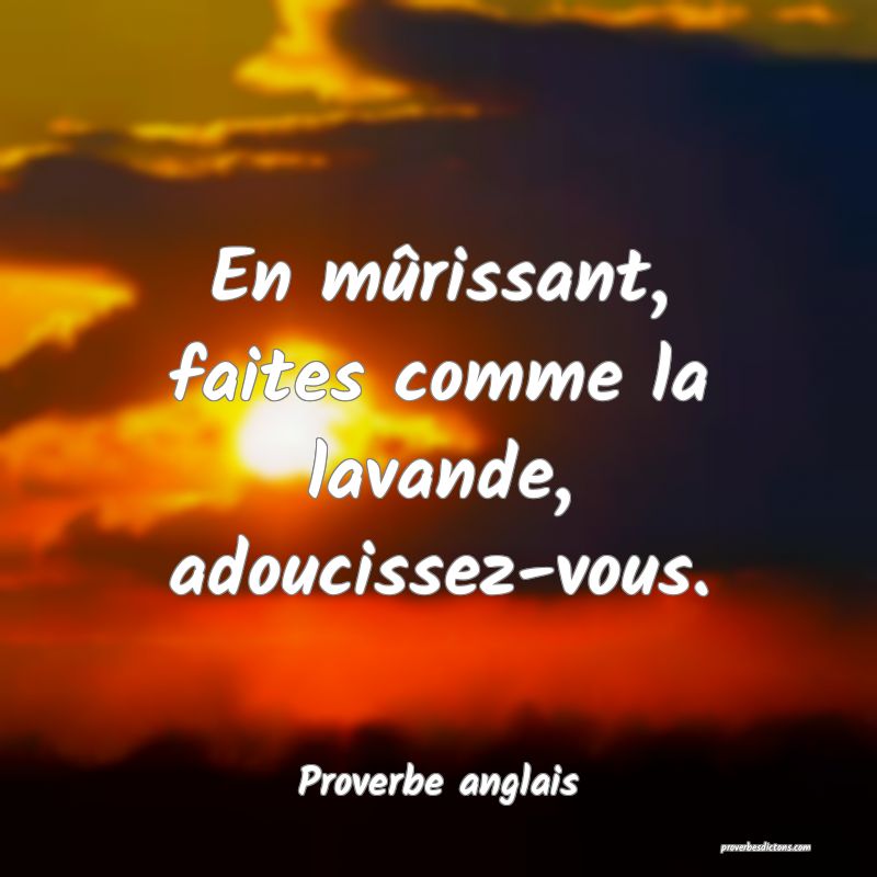En mûrissant, faites comme la lavande, adoucissez-vous.