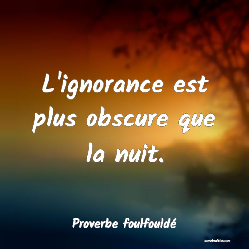 L'ignorance est plus obscure que la nuit.
