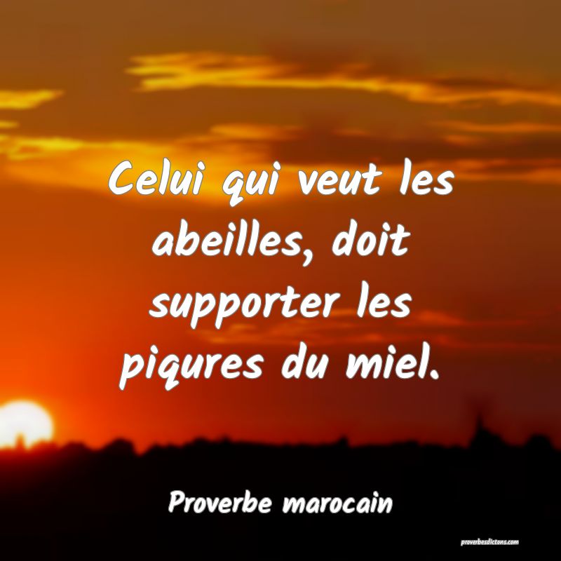  Celui qui veut les abeilles, doit supporter les piqures du miel.