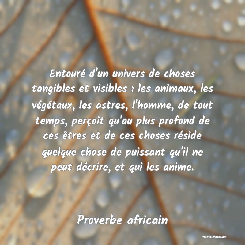 Entouré d'un univers de choses tangibles et visibles : les animaux, les végétaux, les astres, l'homme, de tout temps, perçoit qu'au plus profond de ces êtres et de ces choses réside quelque chose de puissant qu'il ne peut décrire, et qui les anime.