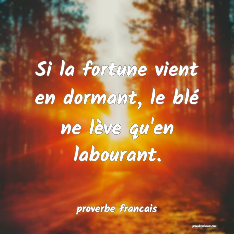 Si la fortune vient en dormant, le blé ne lève qu'en labourant.