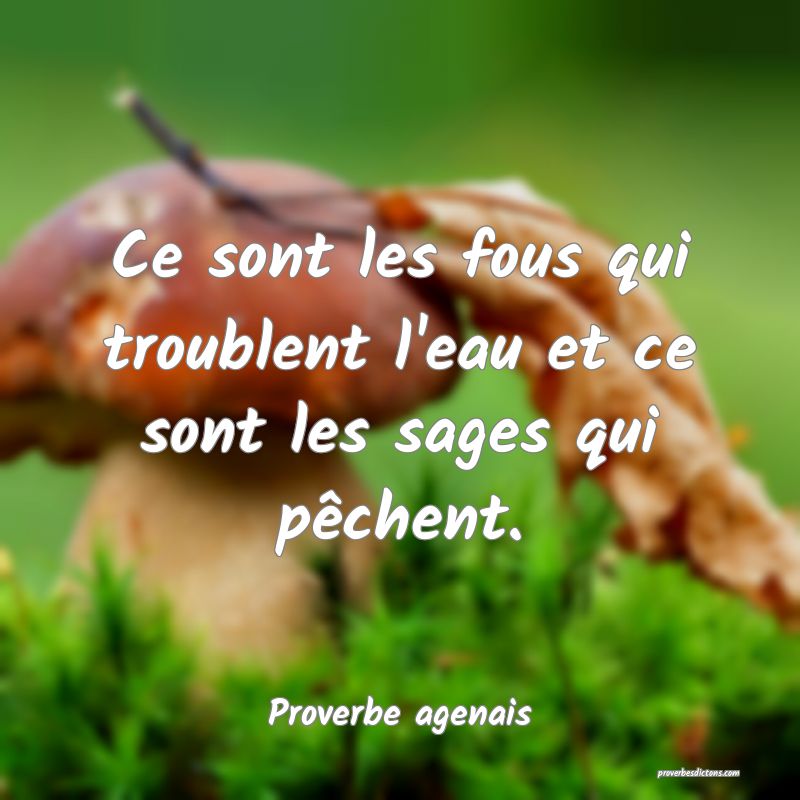 Ce sont les fous qui troublent l'eau et ce sont les sages qui pêchent.