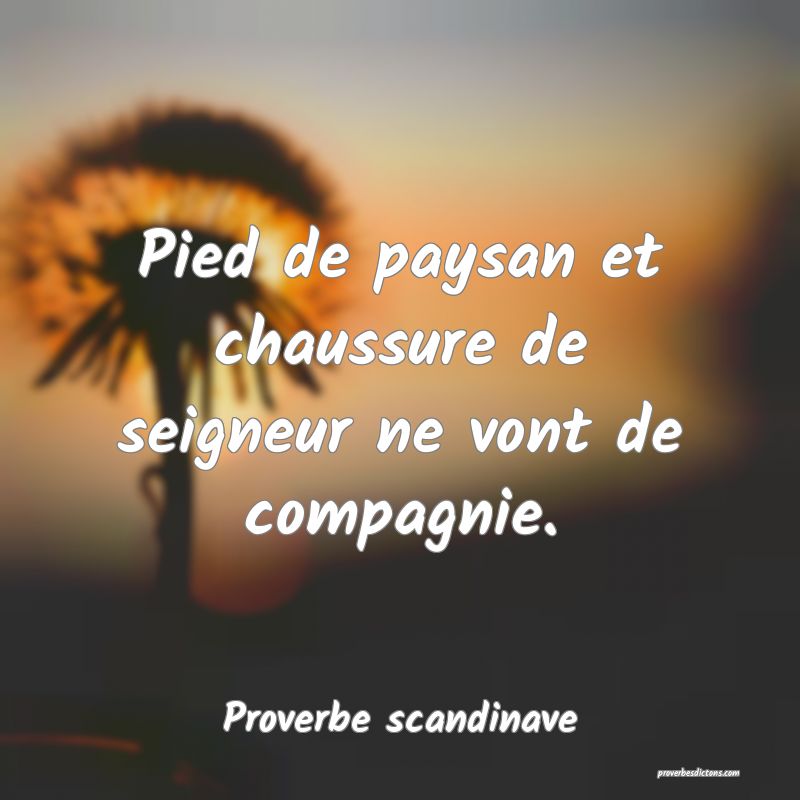 Pied de paysan et chaussure de seigneur ne vont de compagnie.