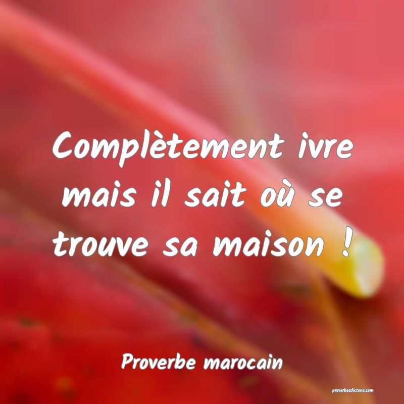  Complètement ivre mais il sait où se trouve sa maison !