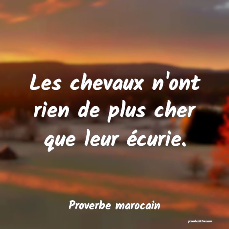  Les chevaux n'ont rien de plus cher que leur écurie.