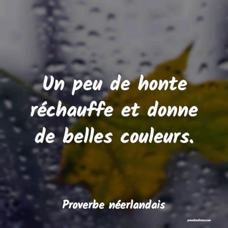 Un peu de honte réchauffe et donne de belles couleurs.