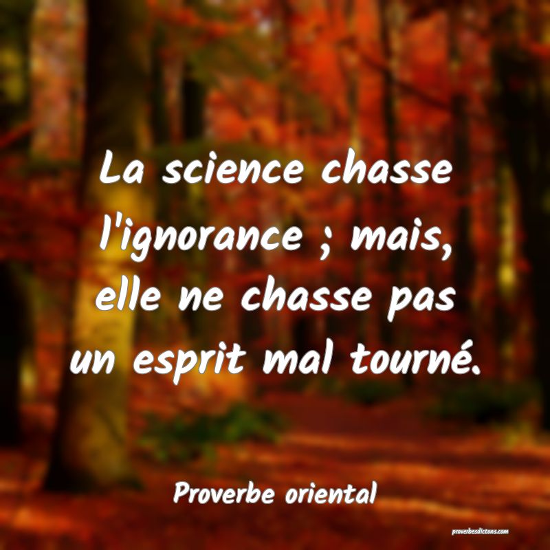 La science chasse l'ignorance ; mais, elle ne chasse pas un esprit mal tourné.