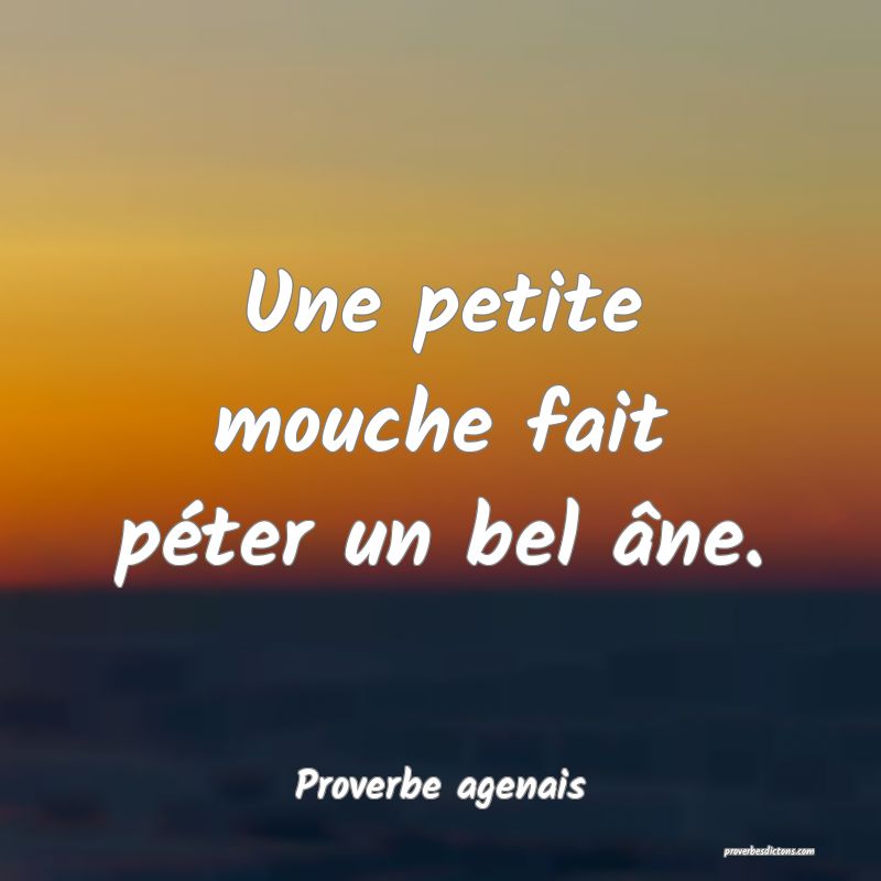 Une petite mouche fait péter un bel âne.