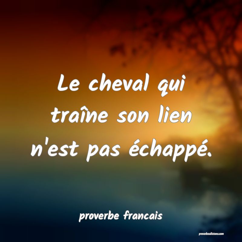 Le cheval qui traîne son lien n'est pas échappé.