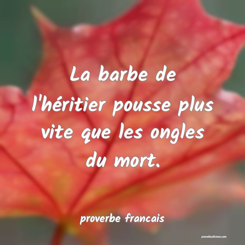 La barbe de l'héritier pousse plus vite que les ongles du mort.