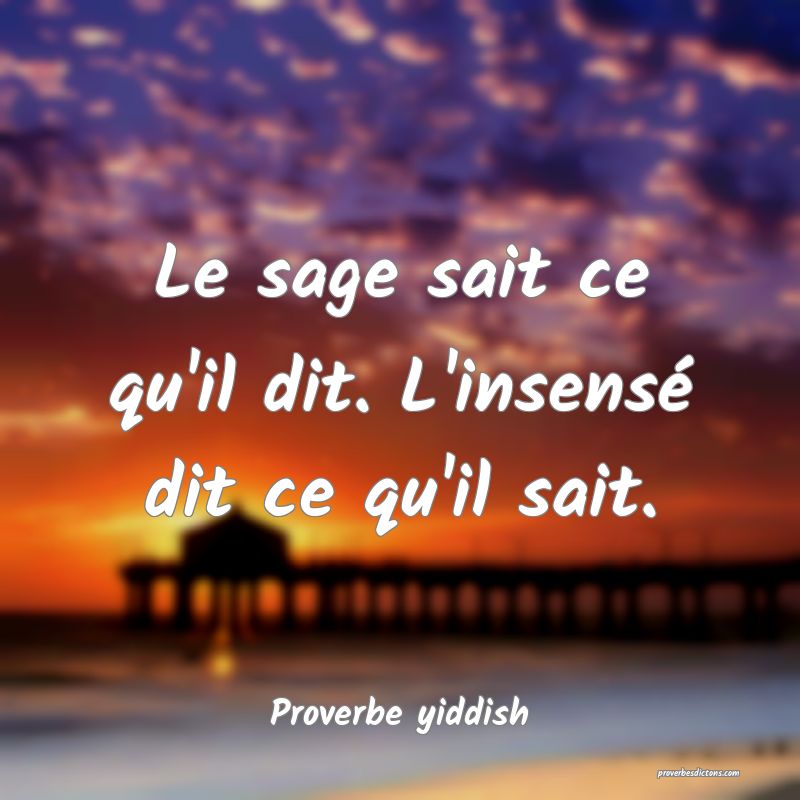 Le sage sait ce qu'il dit. L'insensé dit ce qu'il sait.