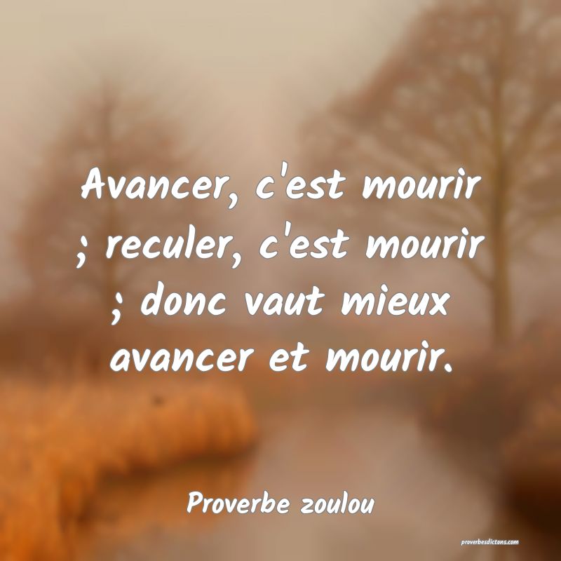 Avancer, c'est mourir ; reculer, c'est mourir ; donc vaut mieux avancer et mourir.