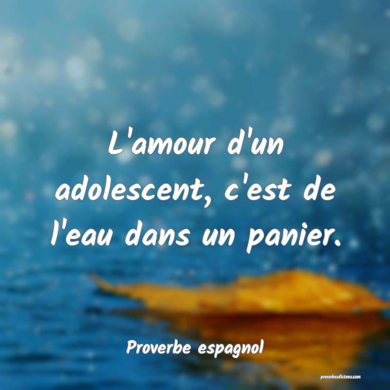 L'amour d'un adolescent, c'est de l'eau dans un panier.