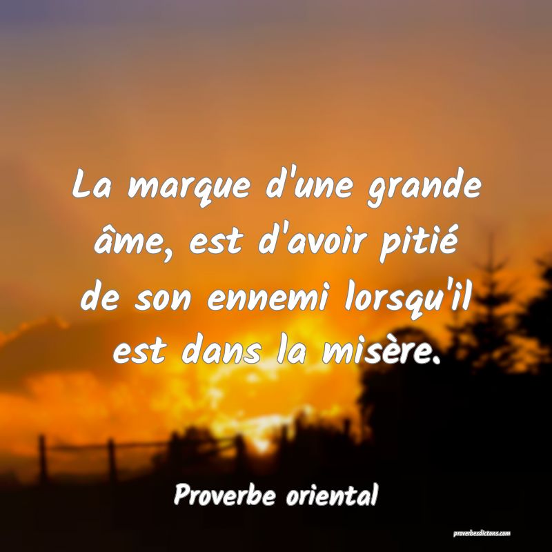 La marque d'une grande âme, est d'avoir pitié de son ennemi lorsqu'il est dans la misère.