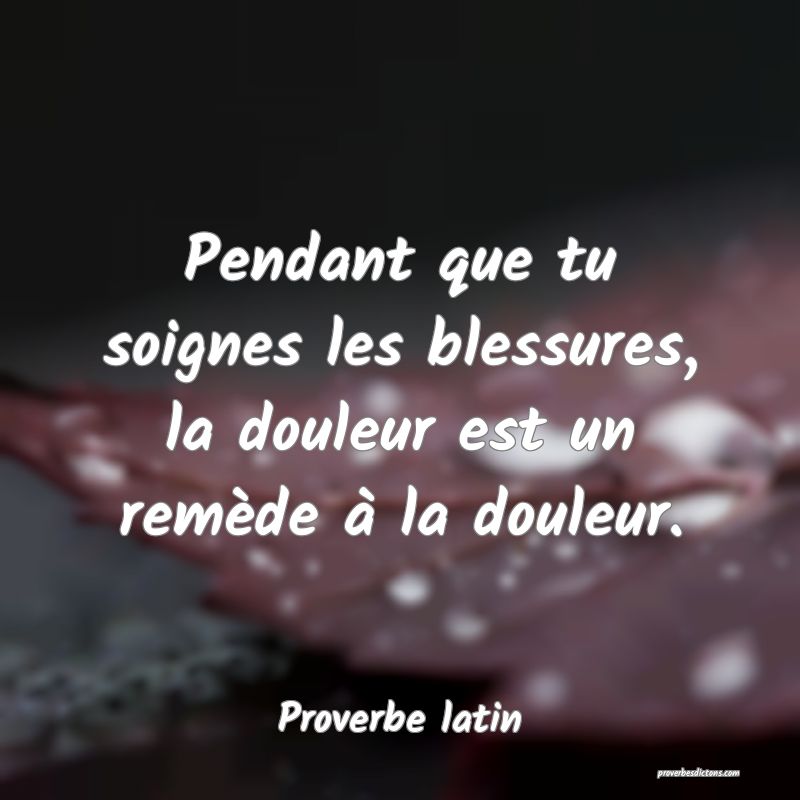 Pendant que tu soignes les blessures, la douleur est un remède à la douleur.
